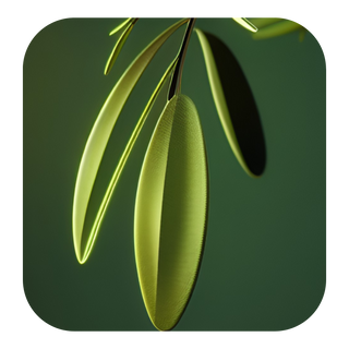 Olive Leaf