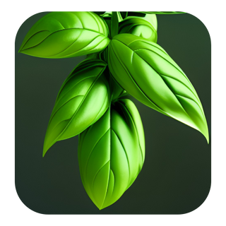 Sweet Basil